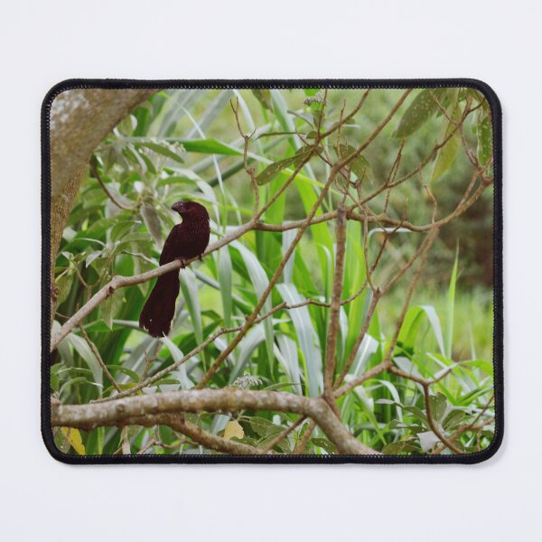 Item preview, Black Bird designed and sold by anafrancisconi.