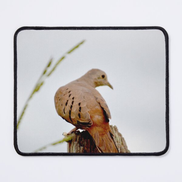 Item preview, Bird designed and sold by anafrancisconi.