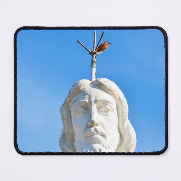 Item preview, Bird designed and sold by anafrancisconi.