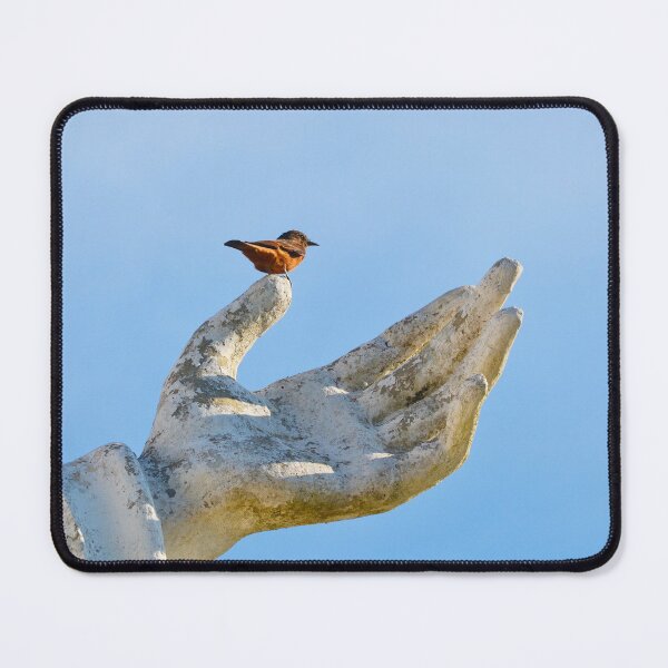 Item preview, Bird designed and sold by anafrancisconi.