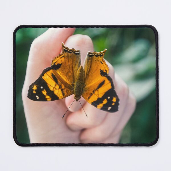 Item preview, Butterfly designed and sold by anafrancisconi.