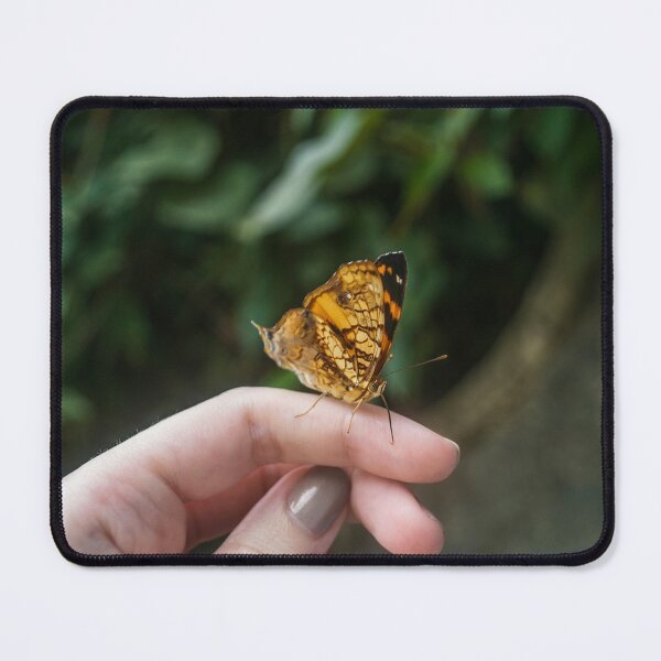 Item preview, Butterfly designed and sold by anafrancisconi.