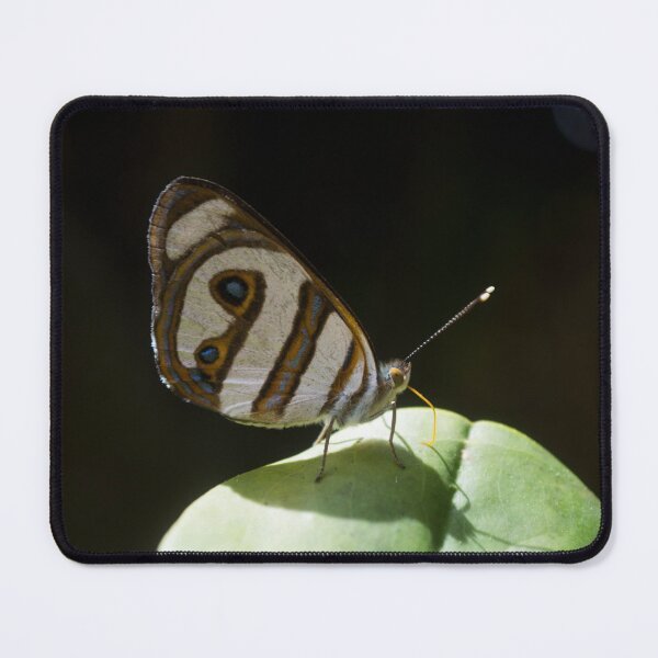 Item preview, Butterfly designed and sold by anafrancisconi.