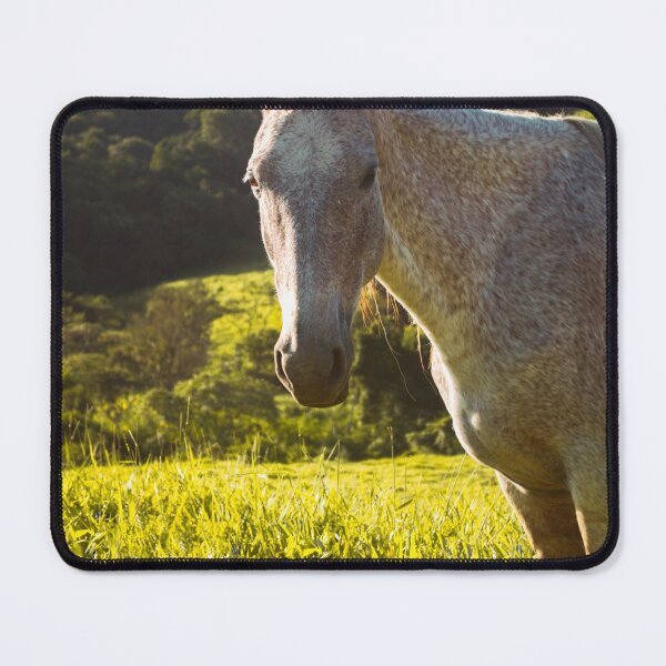 Item preview, Horse designed and sold by anafrancisconi.