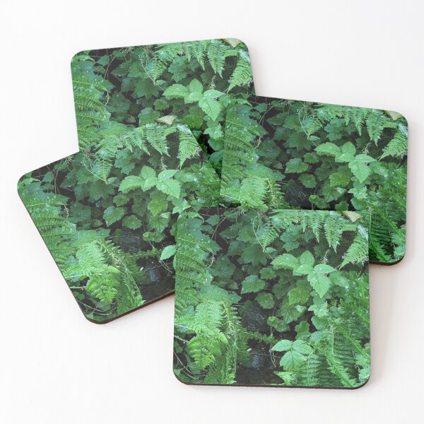 Item preview, Fern and Ivy designed and sold by Djjin66.