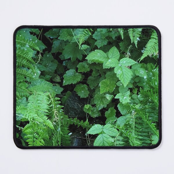 Item preview, Fern and Ivy designed and sold by Djjin66.
