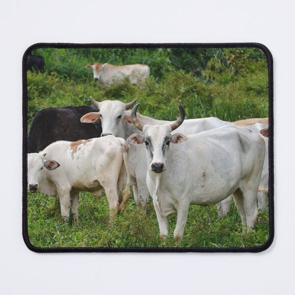 Vista previa del artículo con la obra «Vacas», diseñado y vendido por anafrancisconi.