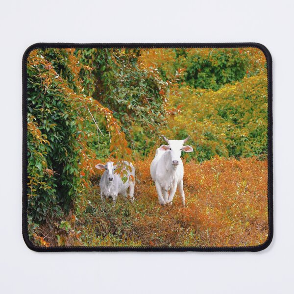 Vista previa del artículo con la obra «Vacas», diseñado y vendido por anafrancisconi.