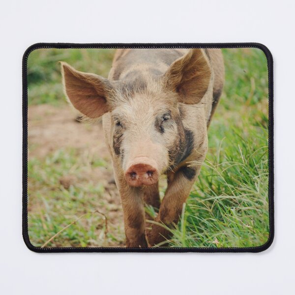 Item preview, Pig designed and sold by anafrancisconi.