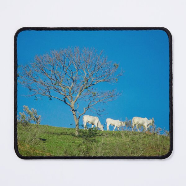 Vista previa del artículo con la obra «Vacas», diseñado y vendido por anafrancisconi.