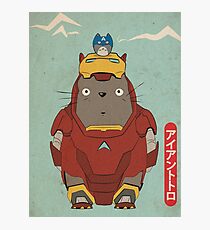 My Neighbour Iron Totoro Photographic Print
