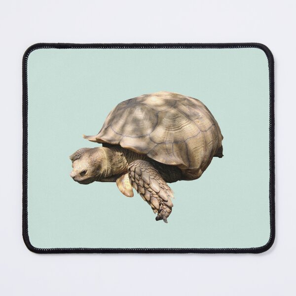 Item preview, Sulcata Tortoise (grazing) designed and sold by misimichu.