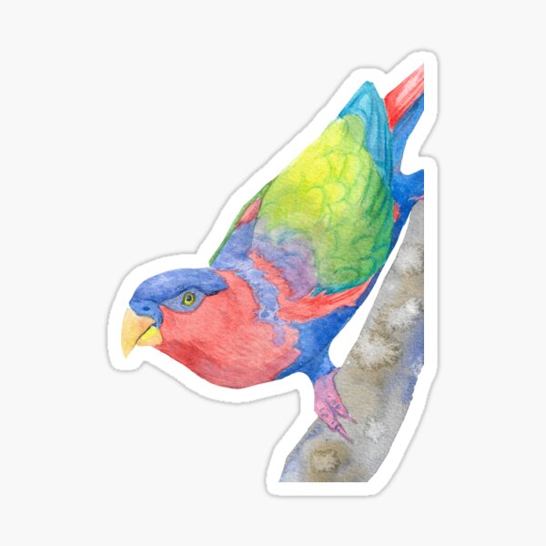 Vista previa del artículo con la obra «Retrato en acuarela de un lori de cabeza negra (Lorius lory)», diseñado y vendido por Perroquets numériques.