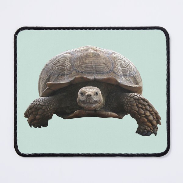 Item preview, Sulcata Tortoise designed and sold by misimichu.