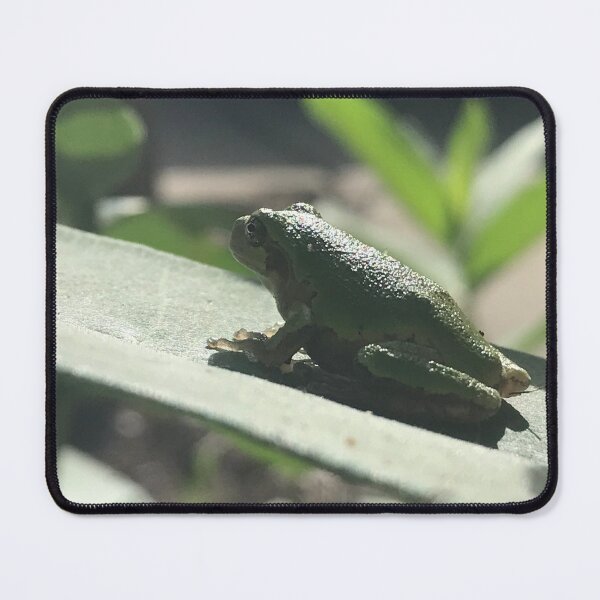Item preview, Feelin’ froggy designed and sold by Artladyjen.