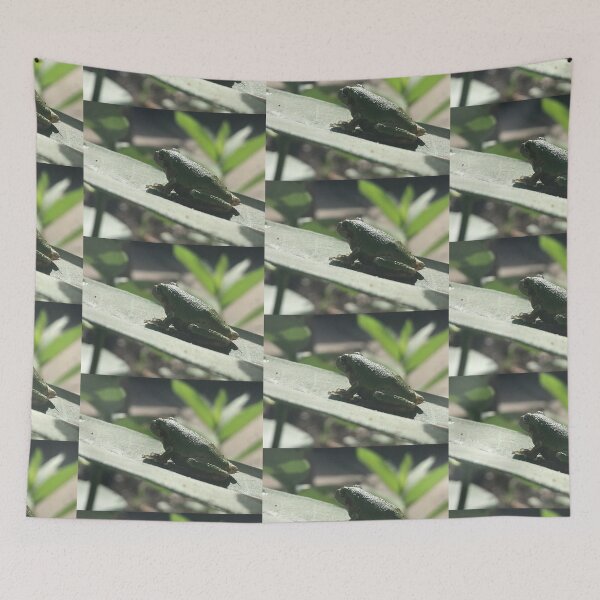 Item preview, Feelin’ froggy designed and sold by Artladyjen.