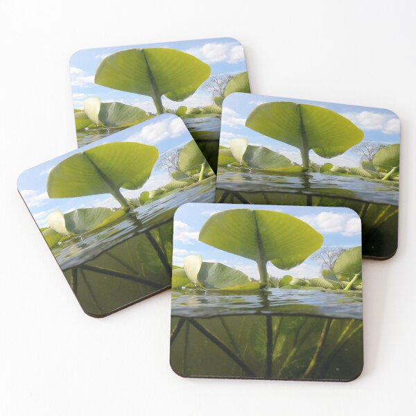 Item preview, Lily Pads Viewed from Underwater - The Vicksburg Collection designed and sold by Sam Morrison.
