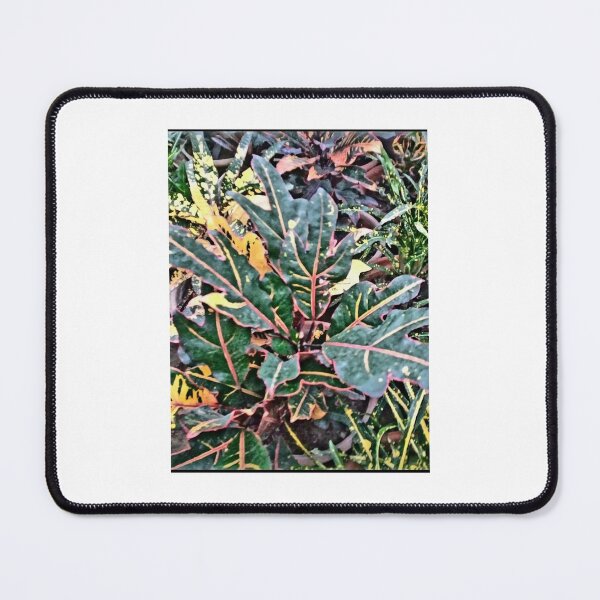 Item preview, Colour from nature designed and sold by ghazalamaa.