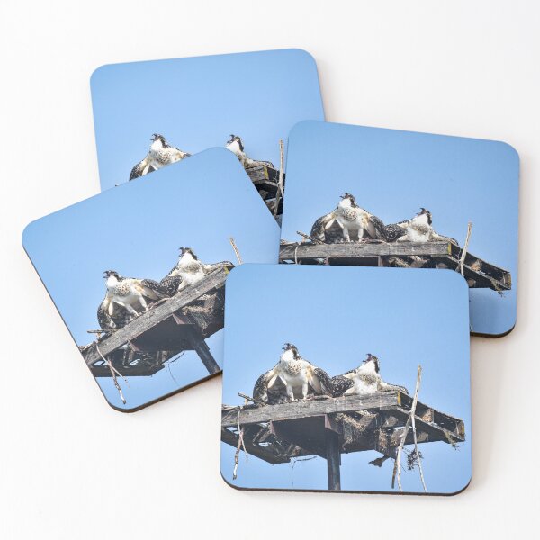Item preview, Osprey at the Opera designed and sold by ImagesByMiranda.