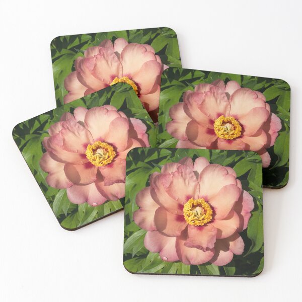 Item preview, Exotic Beauty - Unusual Peony Basking in the Sunshine designed and sold by Georgia Mizuleva.