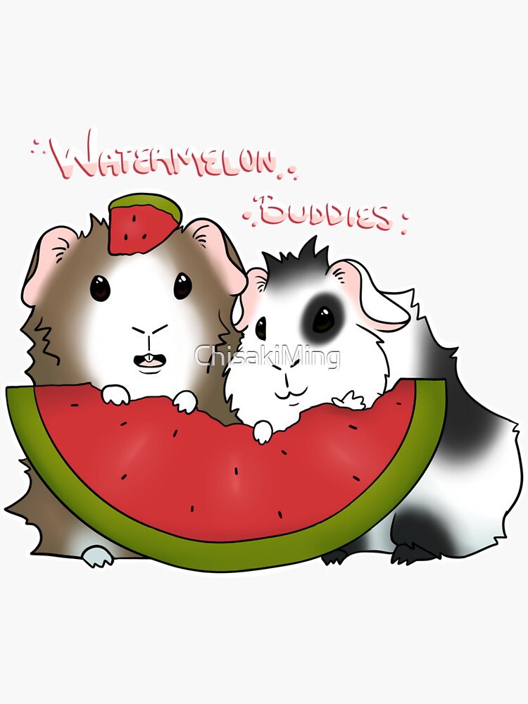 Guinea pig outlet watermelon