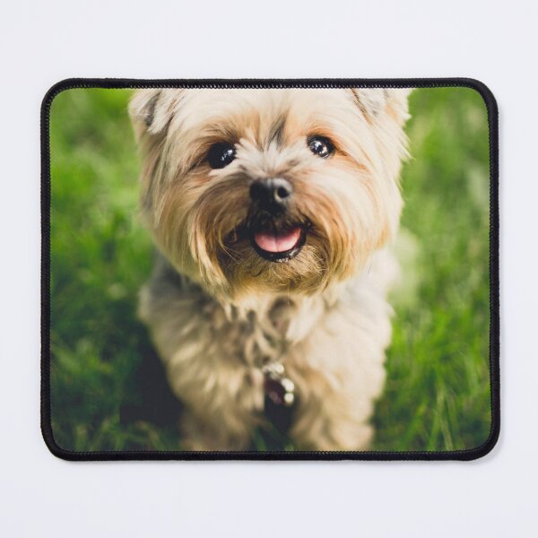 Item preview,  Miniature Schnauzer designed and sold by Silviajones.