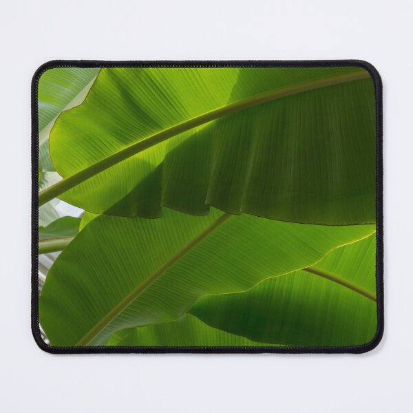 Item preview, Biophilic Green Tropics - Huge Banana Leaves - a Horizontal View designed and sold by Georgia Mizuleva.