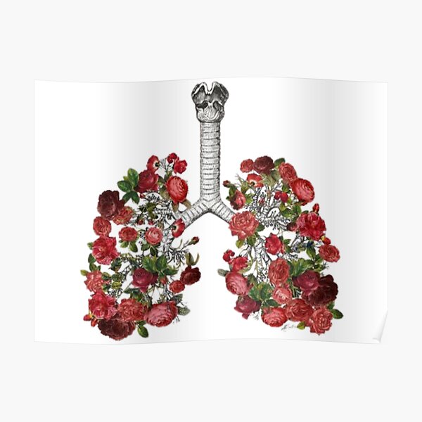 Flower Lungs Posters for Sale | Redbubble