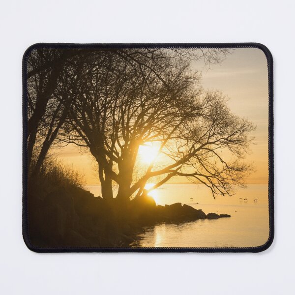 Item preview, Early Gold Through the Willow Branches - A Sunrise on the Shore of Lake Ontario designed and sold by Georgia Mizuleva.