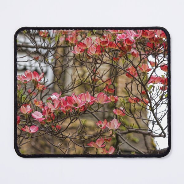 Item preview, Pink Spring Dogwood designed and sold by Georgia Mizuleva.