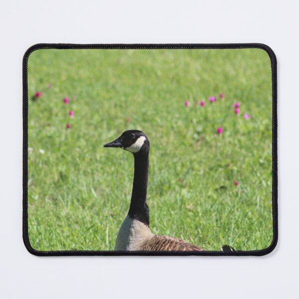 Item preview, Canada Goose designed and sold by Krystina Starks.