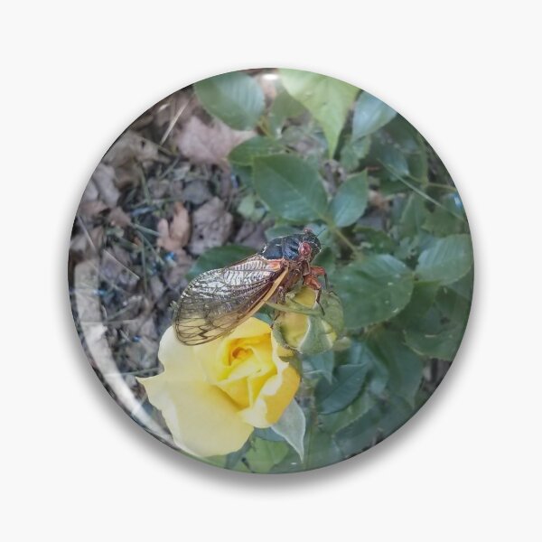 Item preview, Cicada Resting on a Yellow Rose designed and sold by Zeph1.