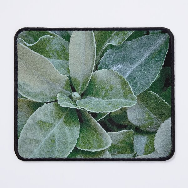 Item preview, Cool vintage leaves pattern designed and sold by maisiriva.