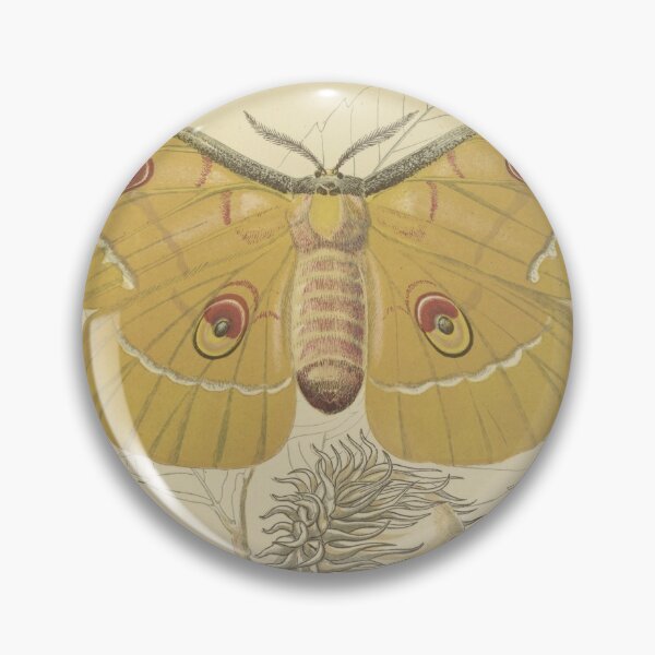 Item preview, Silkworm that feeds the oak of China designed and sold by marcilio.