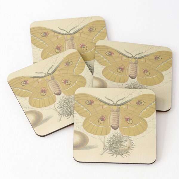 Item preview, Silkworm that feeds the oak of China designed and sold by marcilio.
