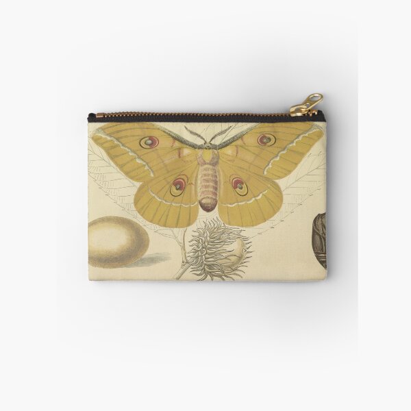 Item preview, Silkworm that feeds the oak of China designed and sold by marcilio.