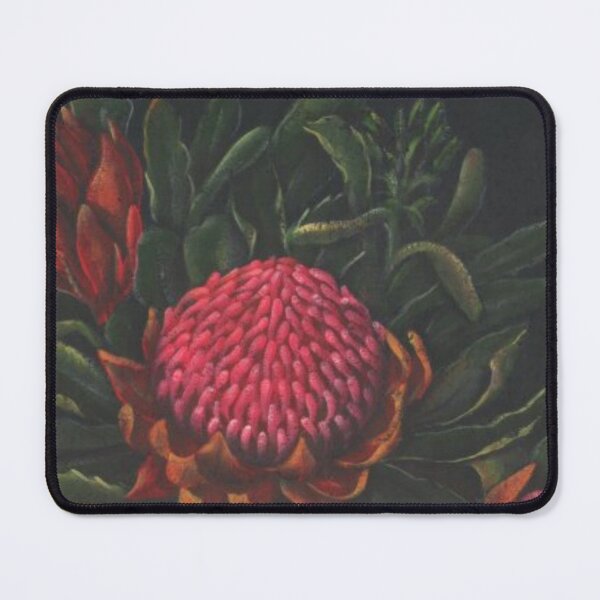 Item preview, Handpainted Waratah ~ Australian Flora designed and sold by Violet Grant.