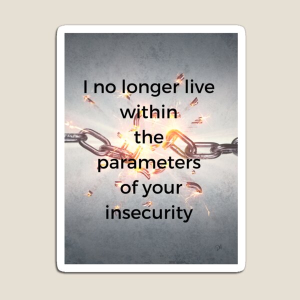 I No Longer Live Within the Pameters of Your Insecurity Magnet