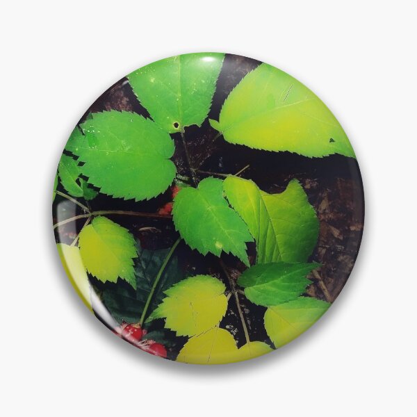 Item preview, American Ginseng during Fall Equinox designed and sold by Duckbray.