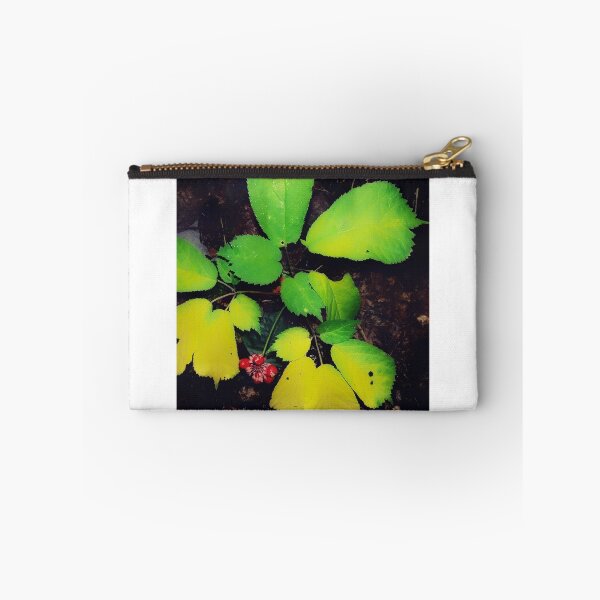 Item preview, American Ginseng during Fall Equinox designed and sold by Duckbray.
