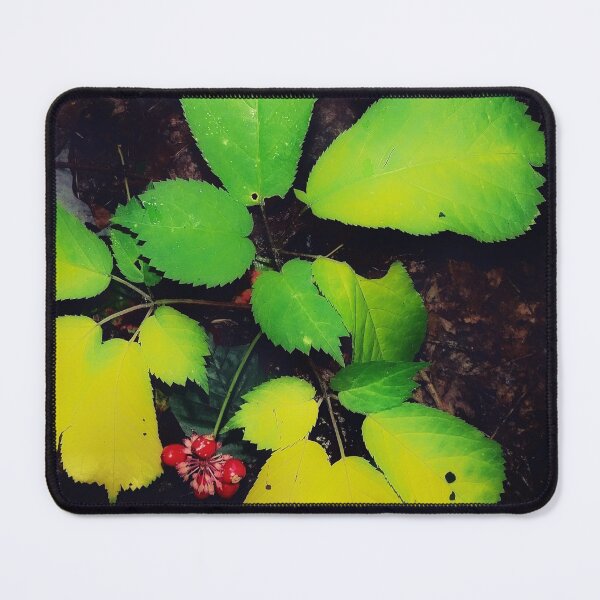 Item preview, American Ginseng during Fall Equinox designed and sold by Duckbray.