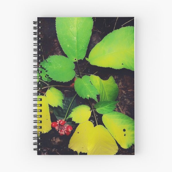 Item preview, American Ginseng during Fall Equinox designed and sold by Duckbray.