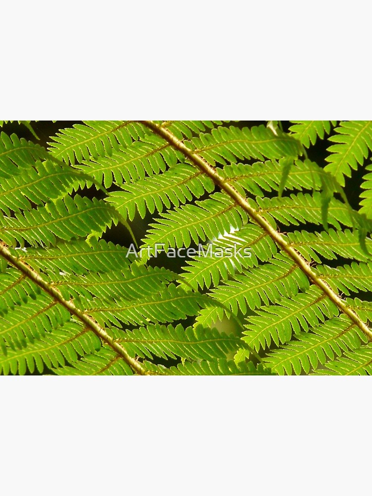 Tree Fern Fronds up close, leaf details. by ArtFaceMasks