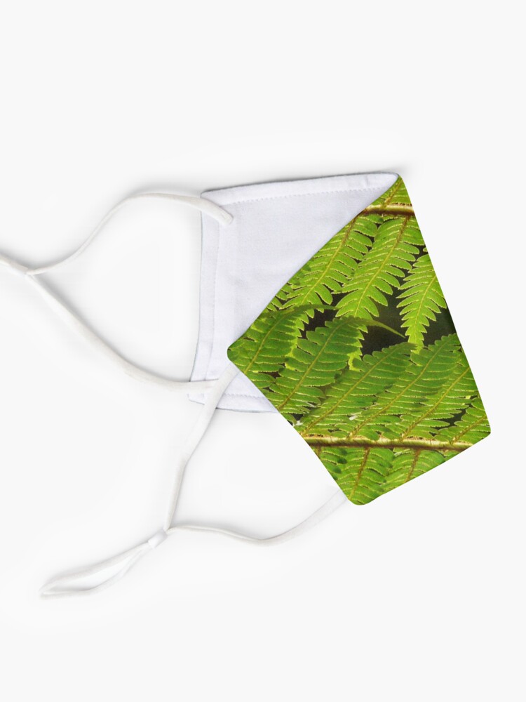 Alternate view of Tree Fern Fronds up close, leaf details. Mask
