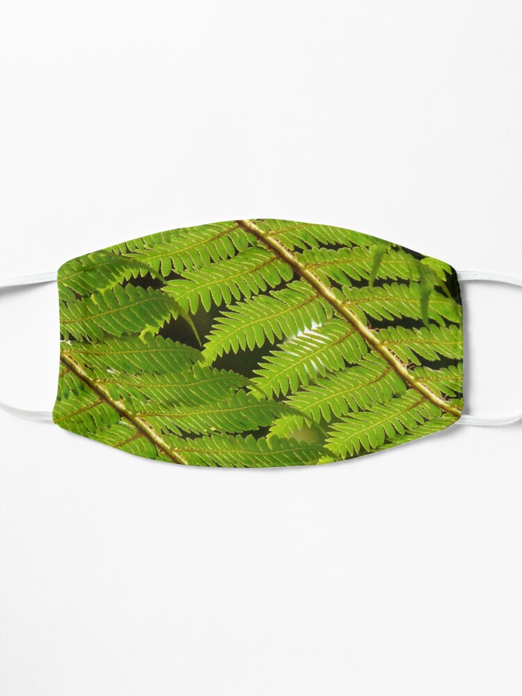 Alternate view of Tree Fern Fronds up close, leaf details. Mask
