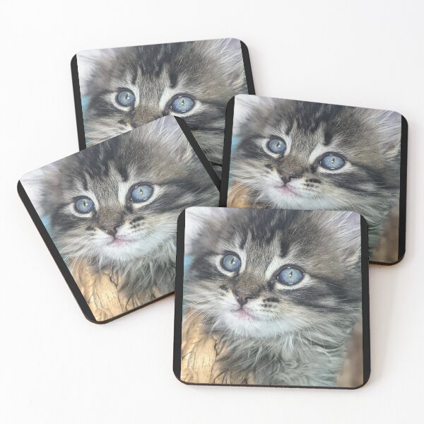 Item preview, Tabby kitten designed and sold by Fluffycat2020.