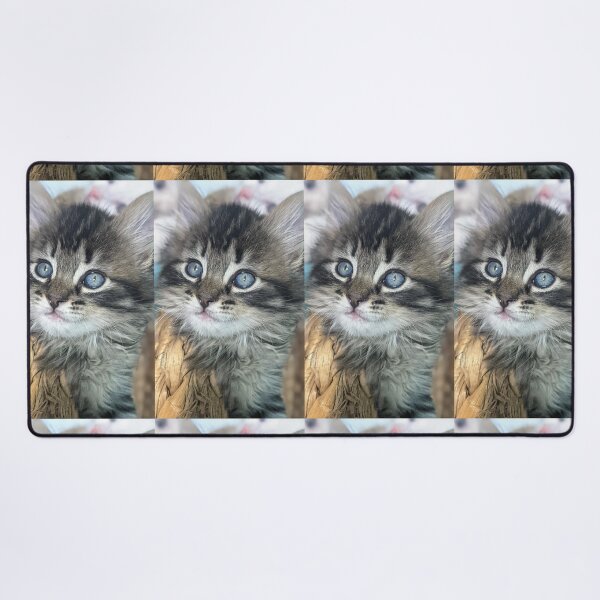 Item preview, Tabby kitten designed and sold by Fluffycat2020.