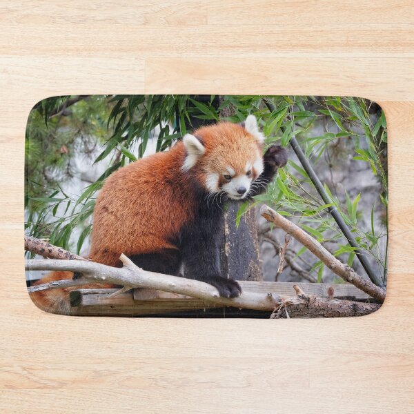 Item preview, Red Panda designed and sold by Catherine Reading.
