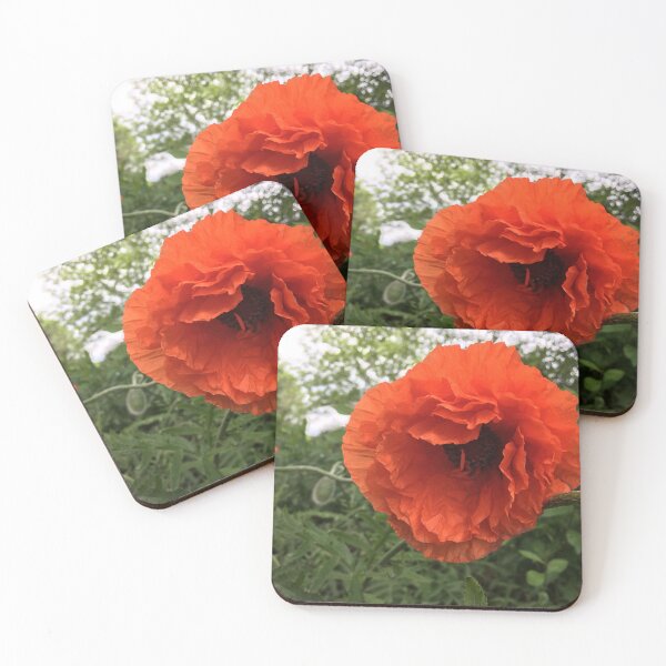 Item preview, Orange poppy  designed and sold by McGrath-Scapes.