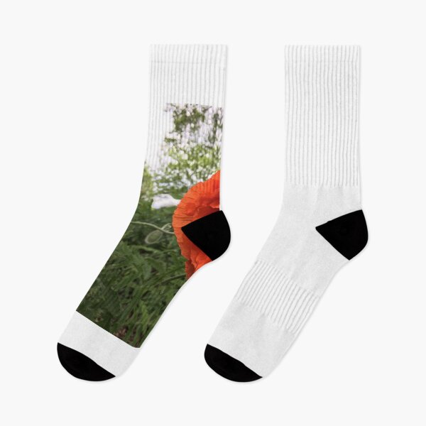 Item preview, Orange poppy  designed and sold by McGrath-Scapes.